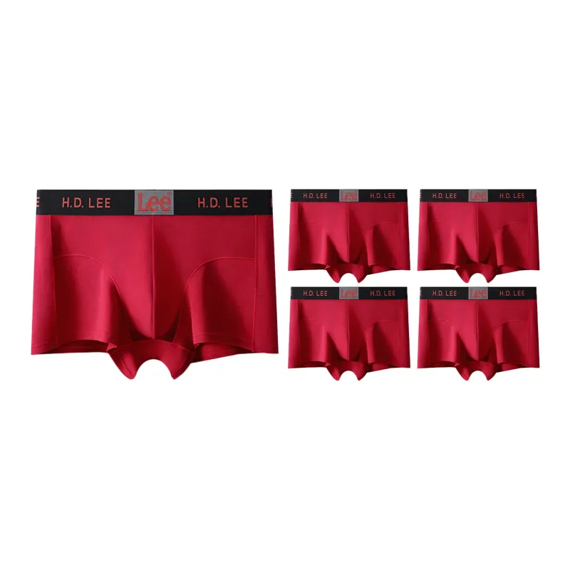 Lee Edge Color 3.0 Underpants Men's 5 Pack-33
