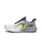 Phantom Gray