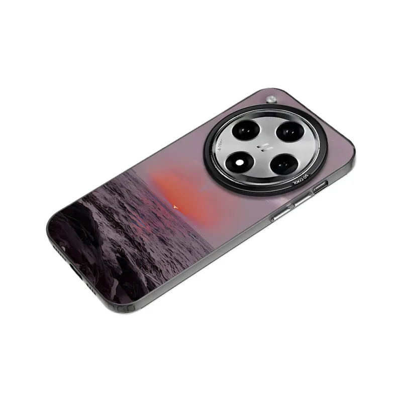 Baochengbao Phone Cases-1