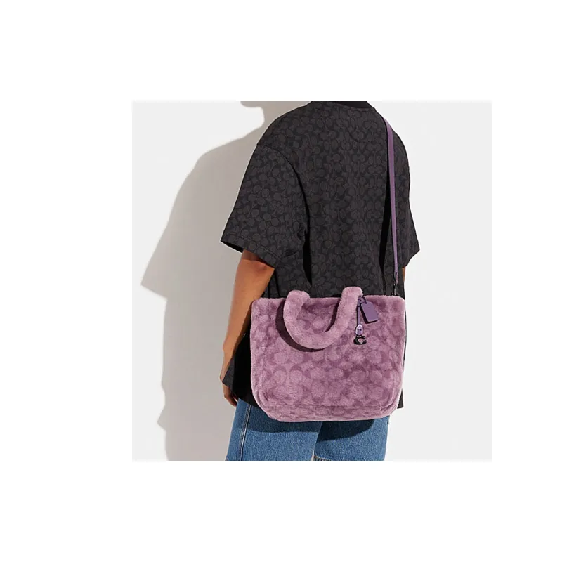 COACH Handbags-3