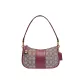 Bag+Dust Bag