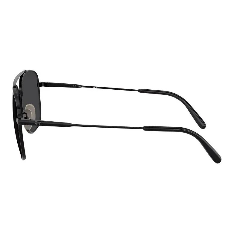 RayBan William Sunglasses-2