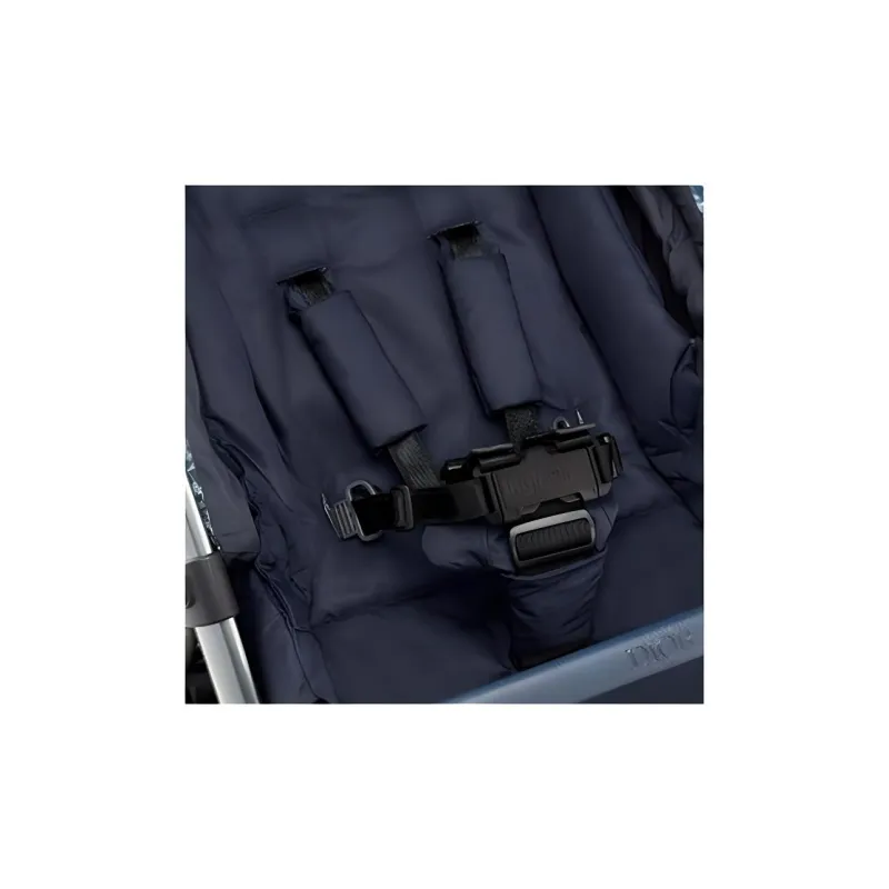 DIOR Bag Accessories-2