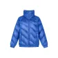 Arctic Blue