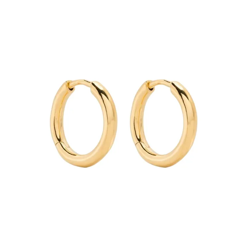 Maria Black Gold Slate 10 Huggie Earring-0
