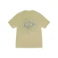 Elm Yellow