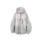 Silver Snow Gray