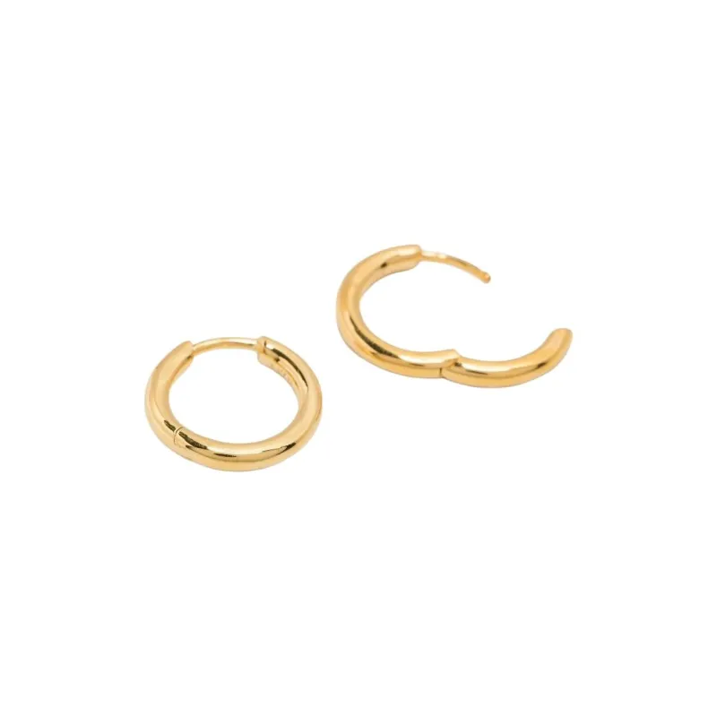 Maria Black Gold Slate 10 Huggie Earring-1