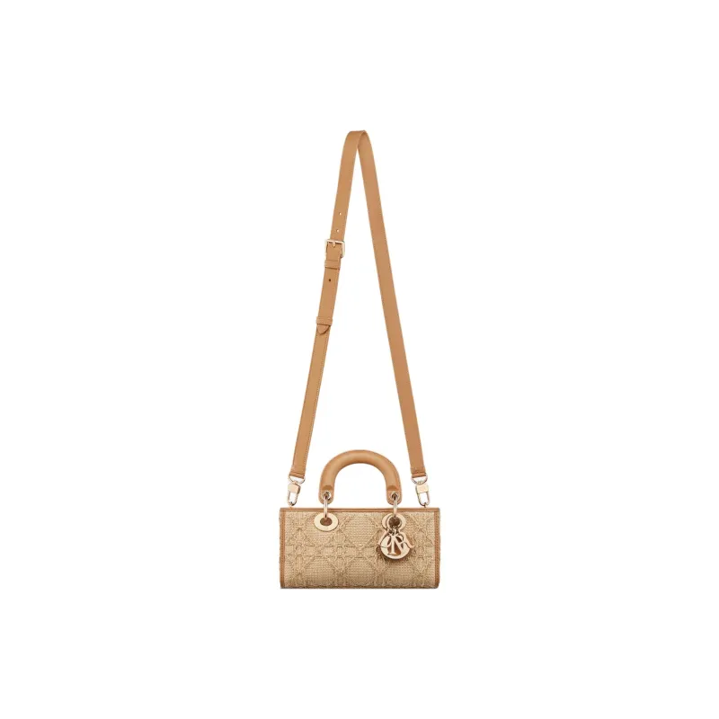 DIOR Lady D Joy Handbags-1