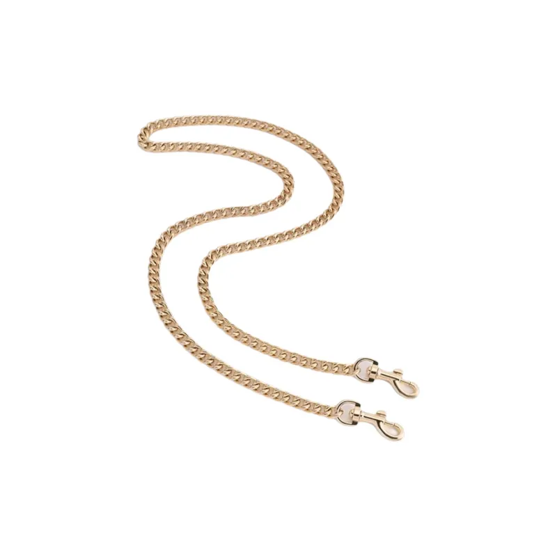 Luxury Care Artisan Workshop Alloy Metal Bag Strap Women's Gold-5