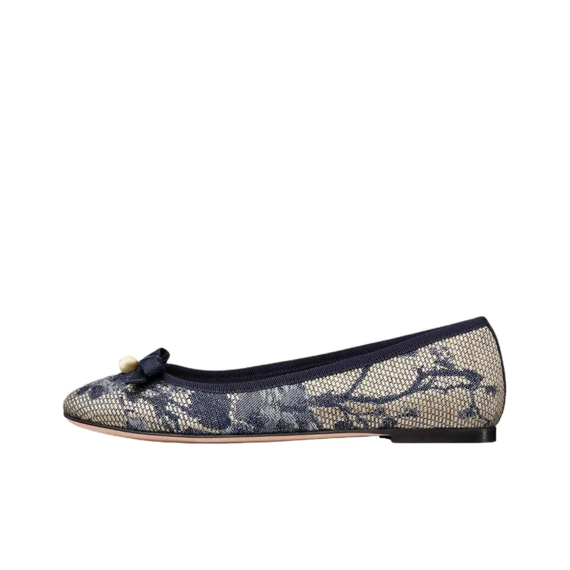 DIOR Casual Single Shoes Women's Blue-0