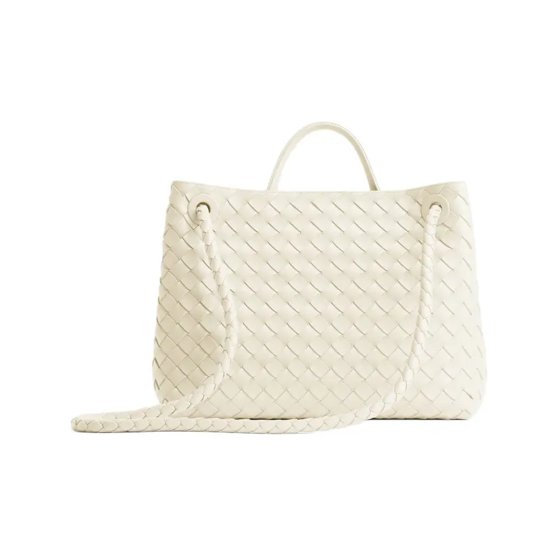 Bottega Veneta Andiamo Series Lambskin Handbag Women's Sea Salt Color-2