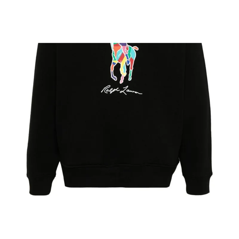 Polo Ralph Lauren Polo Pony print Hoodie-5