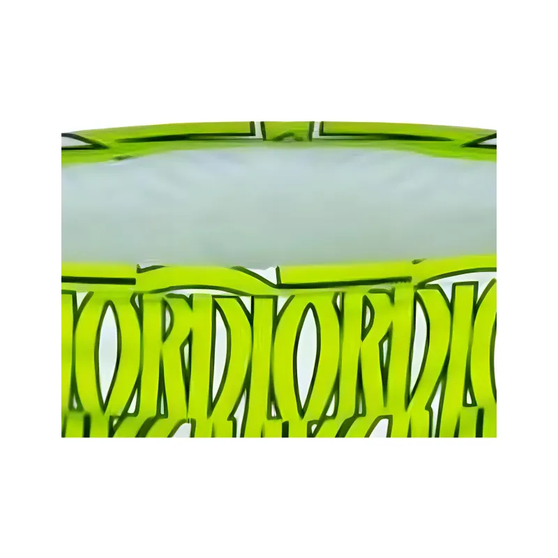 DIOR Swimming Shorts Women's Green-2