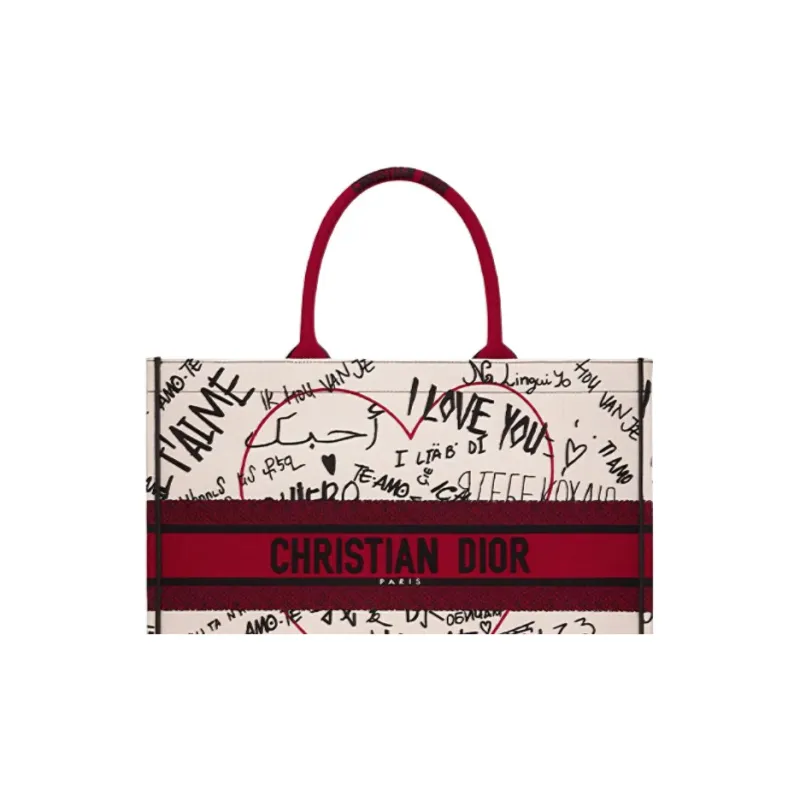 DIOR BookTote Handbags-4