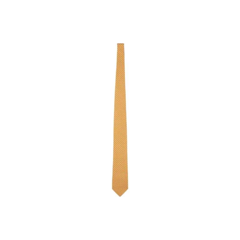 FERRAGAMO Silk Ties Men's Yellow-1