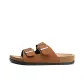 Yellow Brown 223