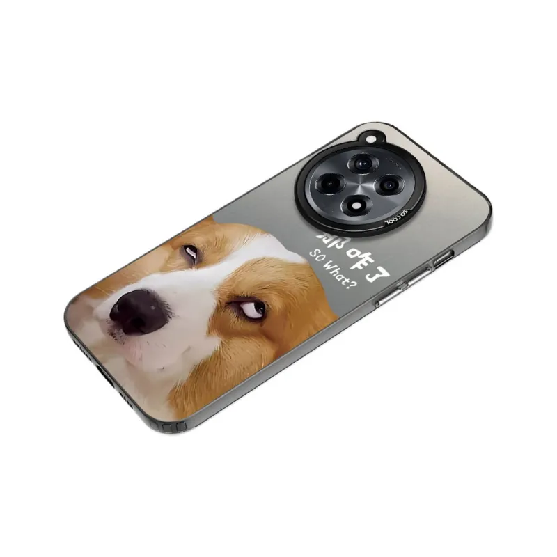 Baochengbao Phone Cases-6