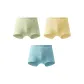 Cheese Yellow+Seafoam Green+Azure