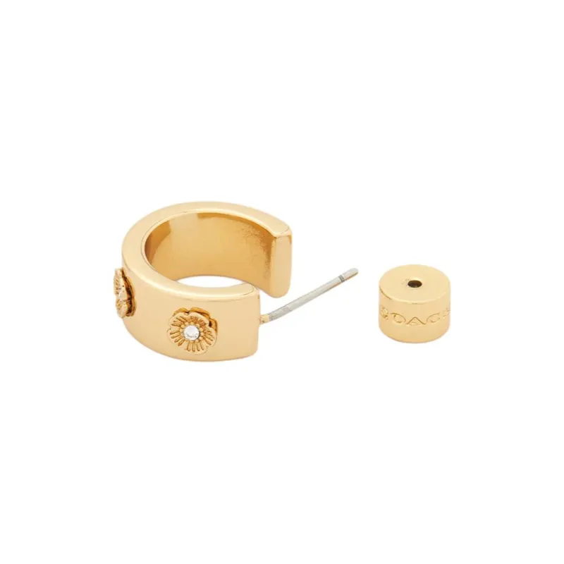 COACH Brass, Glass, Titanium, Zircon Earrings Women's Gold-2