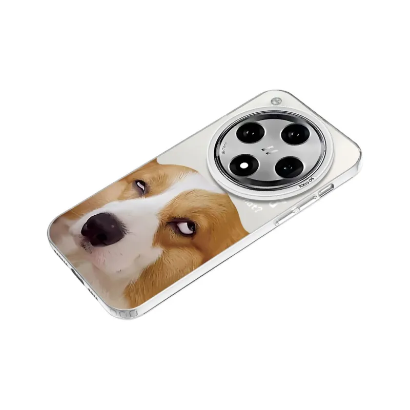 Baochengbao Phone Cases-18