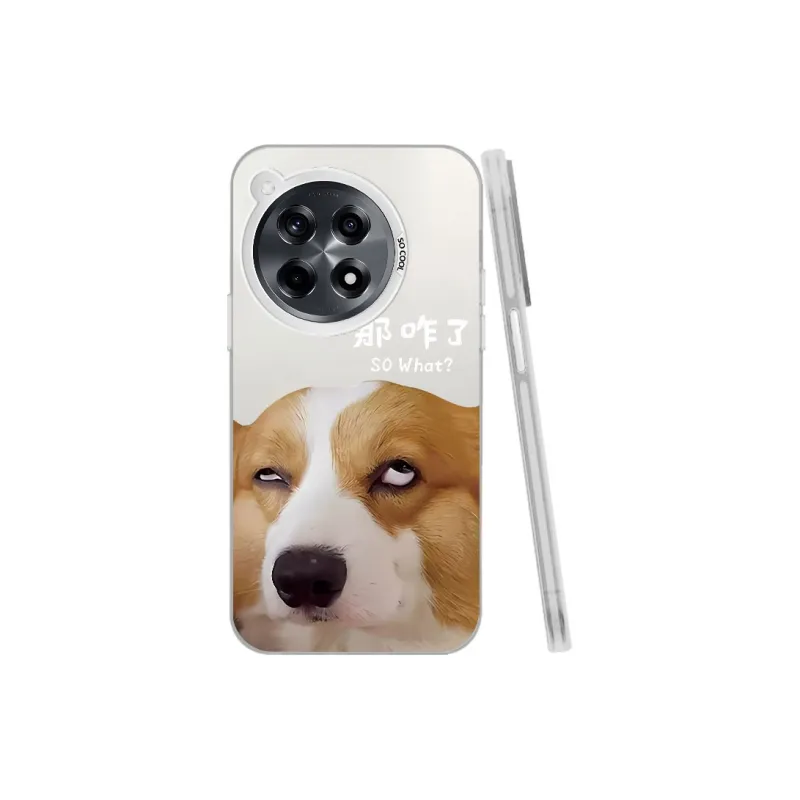 Baochengbao Phone Cases-16