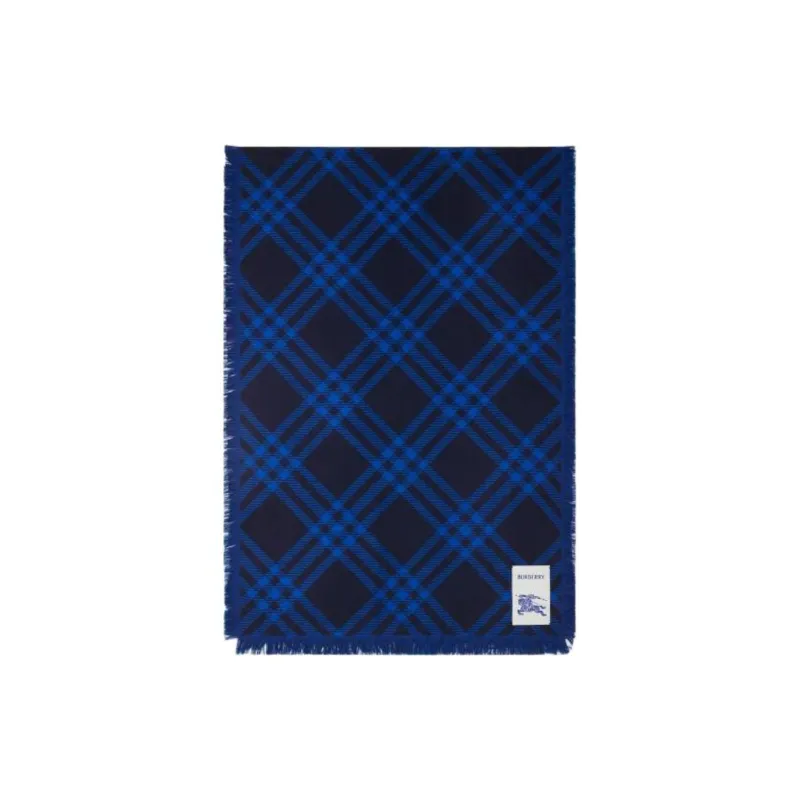 Burberry Wool Silk Knit Scarves Women's Blue-0