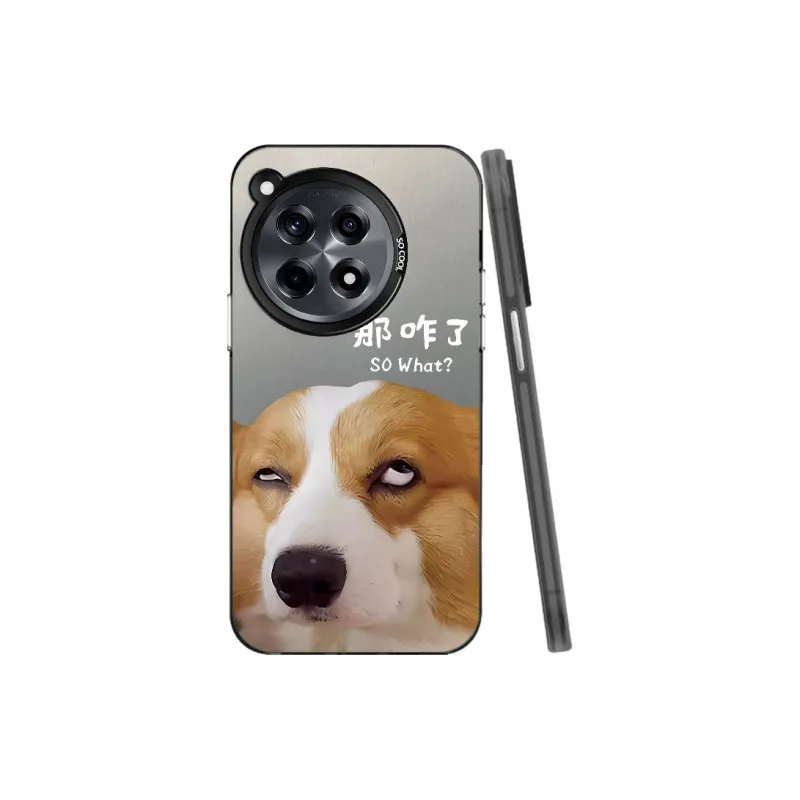 Baochengbao Phone Cases-5