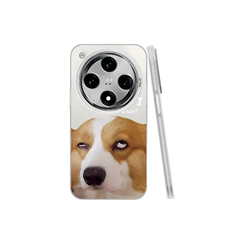 Baochengbao Phone Cases-17