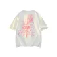 Light Gray-Pink