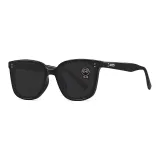 Black Frame with Gray Lens (Standard Lens)