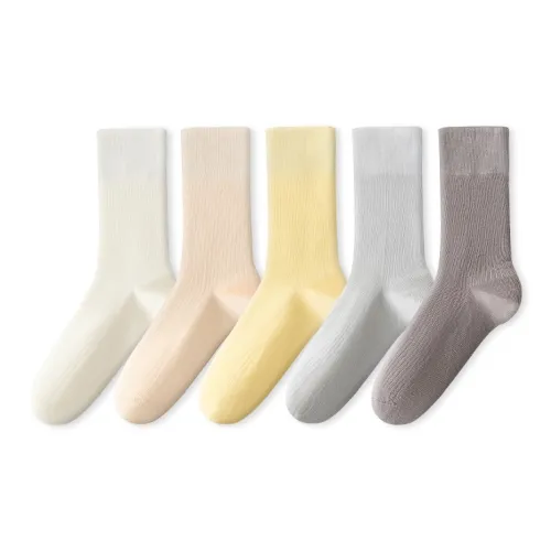 COTTON CHEESE 여성 크루 삭스