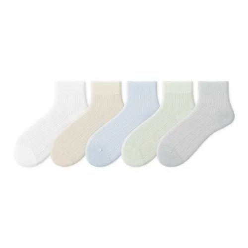 COTTON CHEESE 여성 크루 삭스