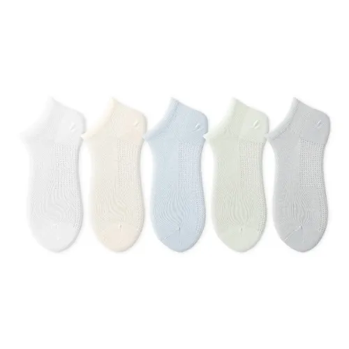 COTTON CHEESE 여성 크루 삭스
