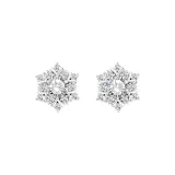 Silver 925-Sparkling Snowflake Stud Earrings