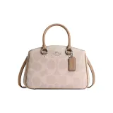 Bag+Dust Bag