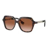Tortoiseshell/Brown Gradient