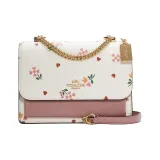 Bag+Dust Bag