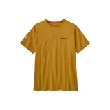 Gold/CSMD