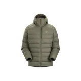 Dusty Green/Forage