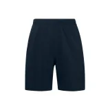 Dark Blue/CCNY