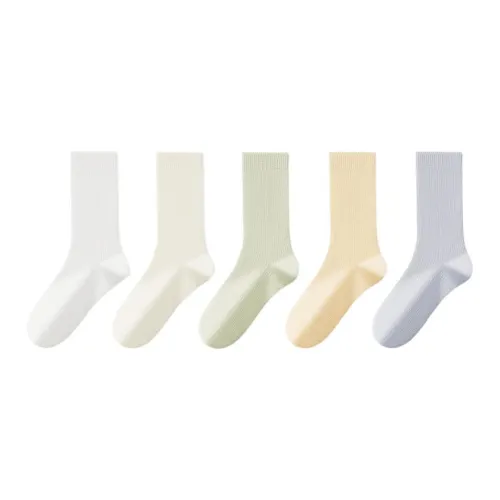 COTTON CHEESE 여성 크루 삭스