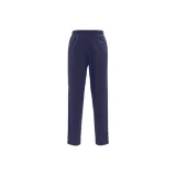 Dark Blue/CCNY