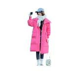 Rose Red ZM-7799