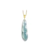 Blessing Bean Necklace