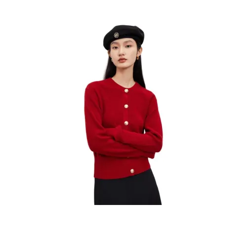 DESIGNICE 여성 스웨터