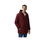 071 Dark Red 1