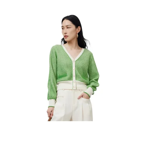 DESIGNICE 터콰이즈 여성 스웨터