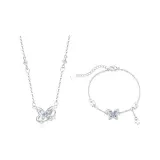 Butterfly Collection