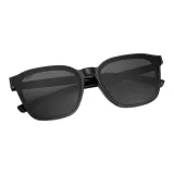 Z62606-C01 Obsidian Black[Polarized Driving Exclusive]